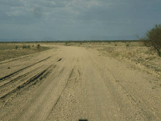 Windjana road dry