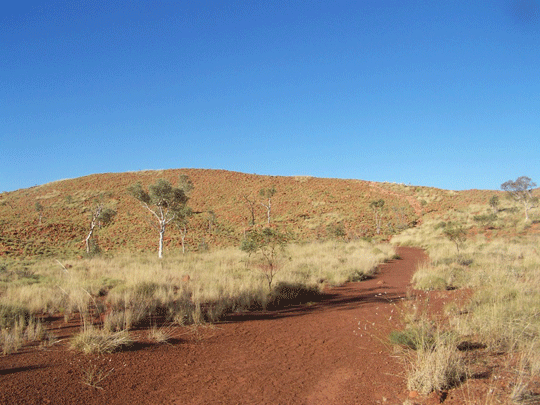 Tanami Road and Wolfe Creek Crater